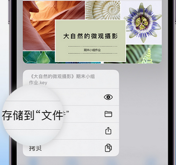 明光apple维修中心分享iPhone文件应用中存储和找到下载文件