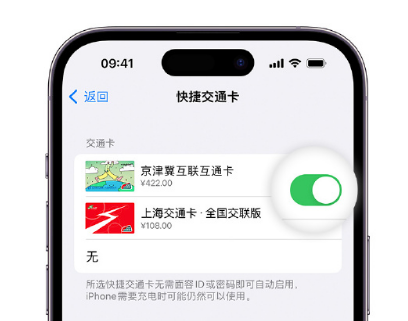 明光apple维修点分享iPhone上更换Apple Pay快捷交通卡手绘卡面 