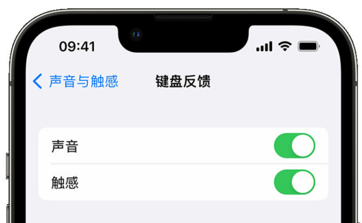 明光苹果手机维修分享iPhone 14触感键盘使用方法 