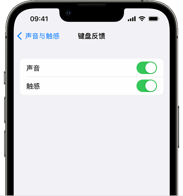 明光苹果14维修店分享如何在 iPhone 14 机型中使用触感键盘 