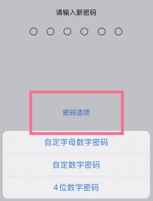 明光苹果14维修分享iPhone 14plus设置密码的方法 