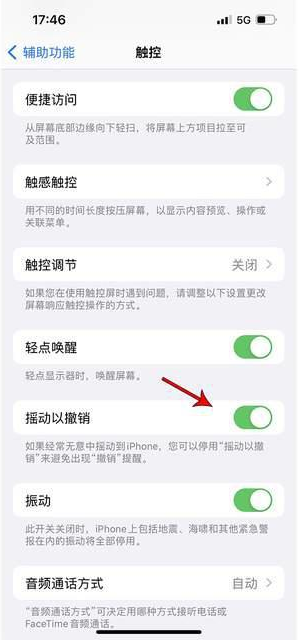 明光苹果手机维修分享iPhone手机如何设置摇一摇删除文字 